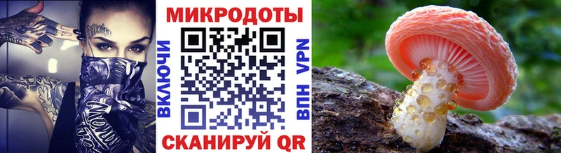 Псилоцибиновые грибы прущие грибы  Лукоянов 